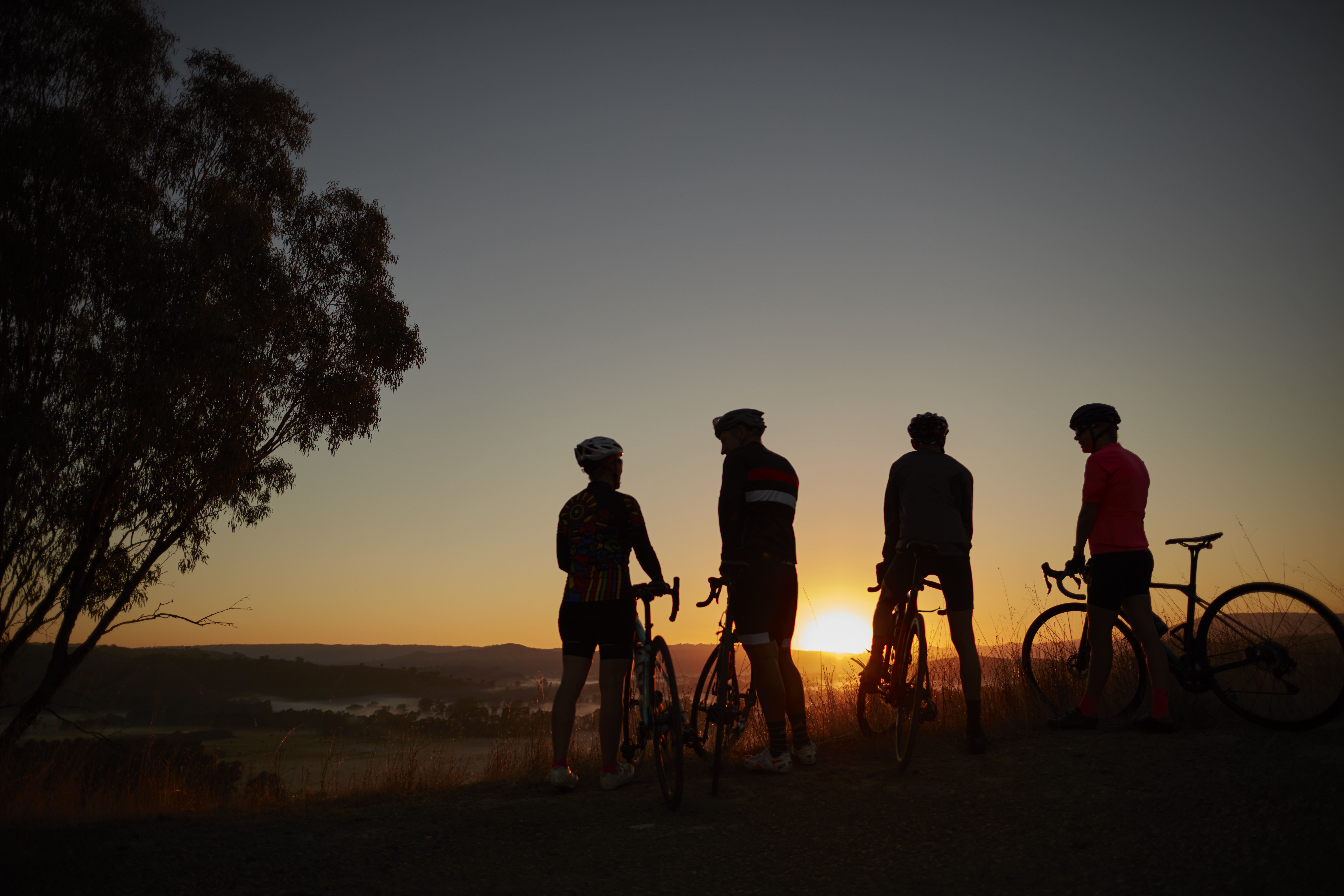 Murrindindi - Cyclists and Road Bikes at Acheron Cutting Lookout _MS89186.jpg