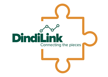 DindiLink puzzle piece logo