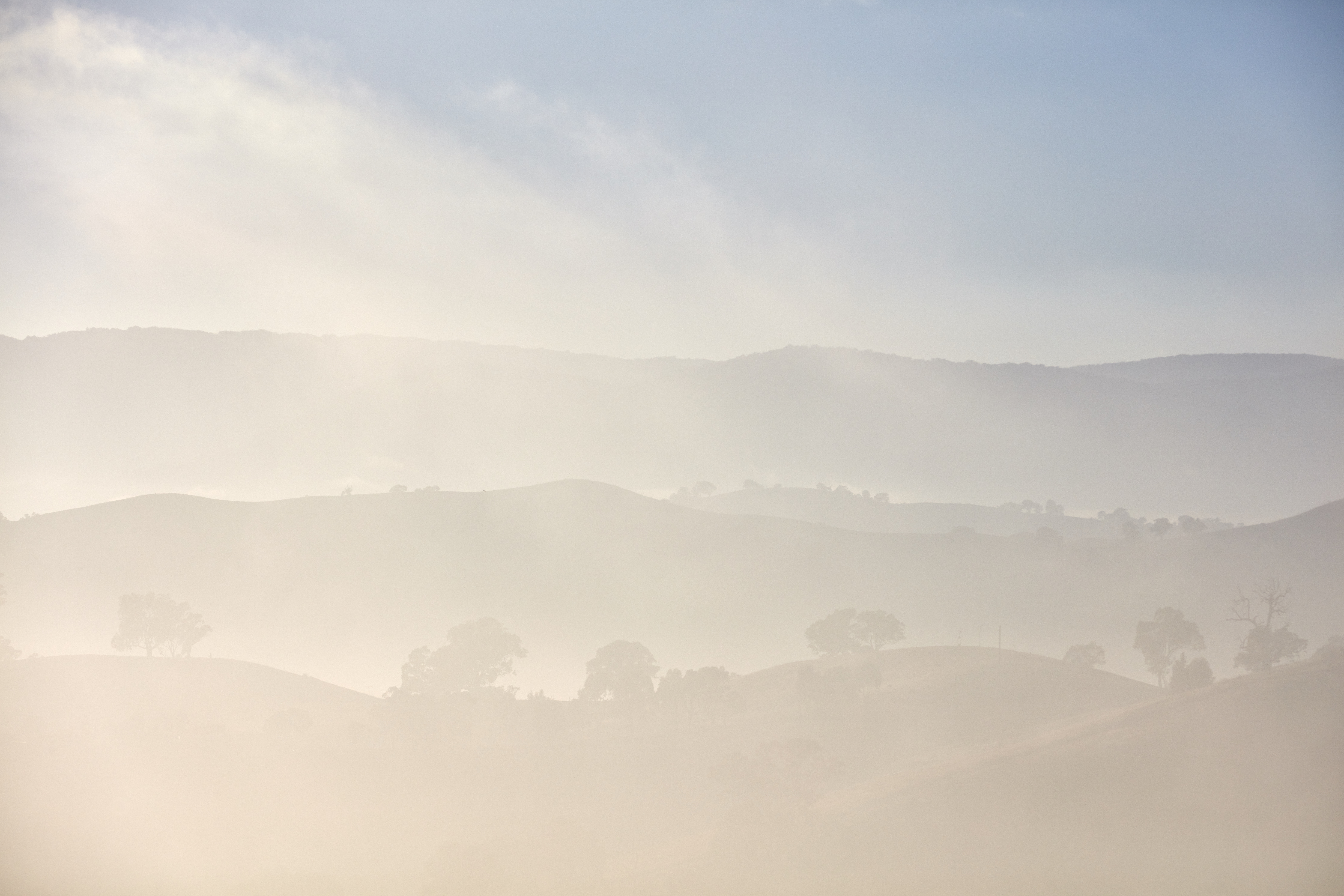 Murrindindi - Acheron Cutting Lookout Sunrise _MS80150.jpg