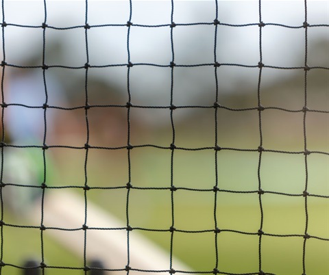 Cricket net - stock image.jpg