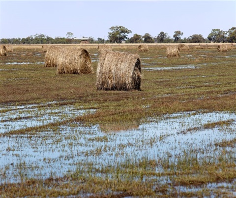 Flood Recovery - farming land.jpg