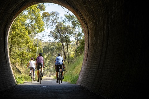 Great Victorian Rail Trail.jpg