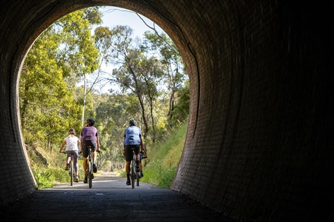 Great Victorian Rail Trail.jpg