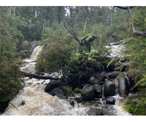 Murrindindi Cascades.png