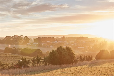 Murrindindi - Sunrise over Kinglake _MS86491.jpg