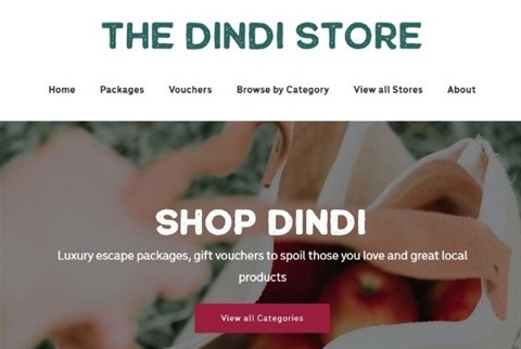The Dindi Store.jpg