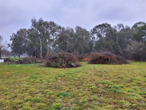 Volume of weeds removed - Station Street.jpg