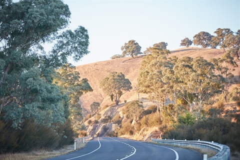 Murrindindi - Cyclists and Road Bikes at Acheron Cutting Lookout _MS89308.jpg