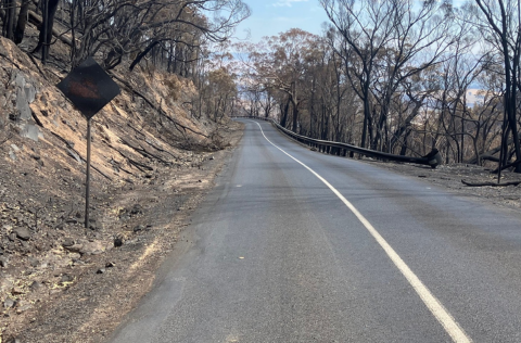 Bushfire damaged road - Peter Weeks Photo - WEB.png