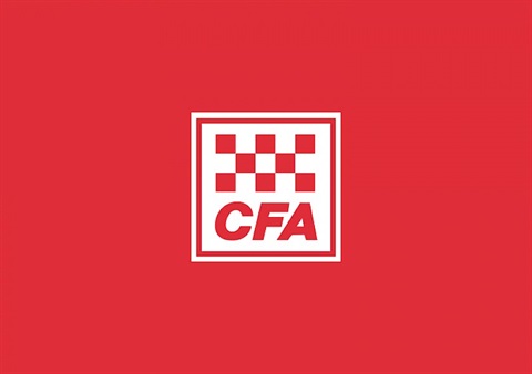 CFA Logo.jpg