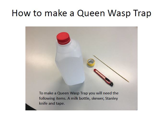 Queen wasp trap pic.JPG