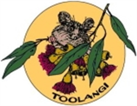 Toolangi PS Logo